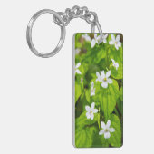 Joyce Kilmer-Slickrock Wilderness Sleutelhanger (Voorkant Links)