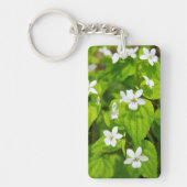 Joyce Kilmer-Slickrock Wilderness Sleutelhanger (Voorkant)