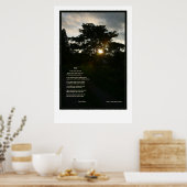 Joyce Kilmer Trees 24x36 Poster (Keuken)