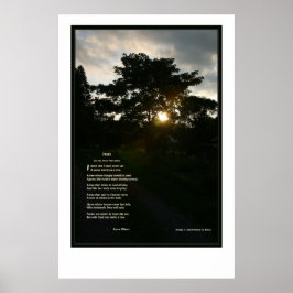 Joyce Kilmer Trees 24x36 Poster