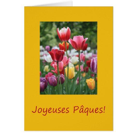 Joyeuses Pâques French Happy Pasen (Voorkant)