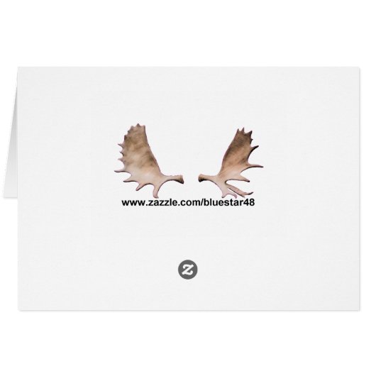 Joyeux Noё l - Birchbark (Achterkant Horizontaal)