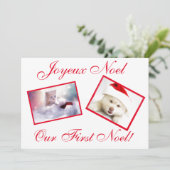 Joyeux Noel Best Friends Pets First Noel Card Feestdagenkaart (Staand voorkant)
