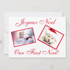 Joyeux Noel Best Friends Pets First Noel Card Feestdagenkaart