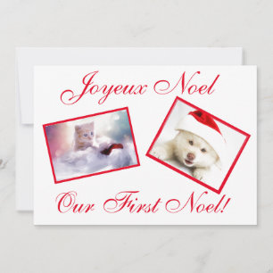 Joyeux Noel Best Friends Pets First Noel Card Feestdagenkaart