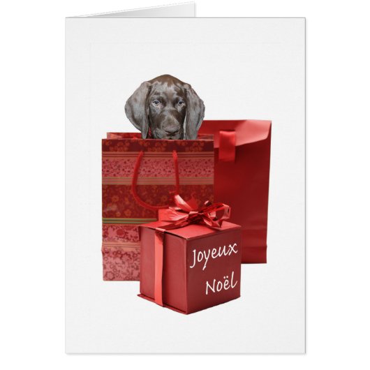 Joyeux Noël German shorthaired pointer puppy (Voorkant)