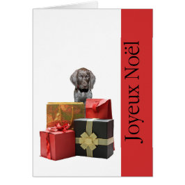 Joyeux Noël German shorthaired pointer puppy