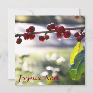 Joyeux Noel Square Card Feestdagenkaart