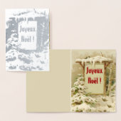Joyeux Noel- tuin Folie Kaarten (Display)
