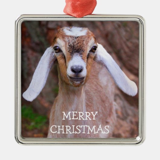 Joyful Baby Goat Kerstmis Metalen Ornament (Voorkant)