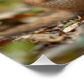 Joyful Bond: Australische mama en Baby Quokka Perfect Poster (Hoek)