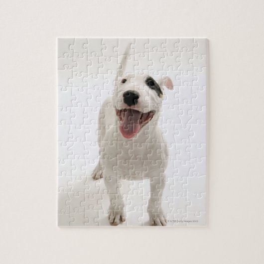 Joyful Bull doodsbang Legpuzzel (Verticaal)