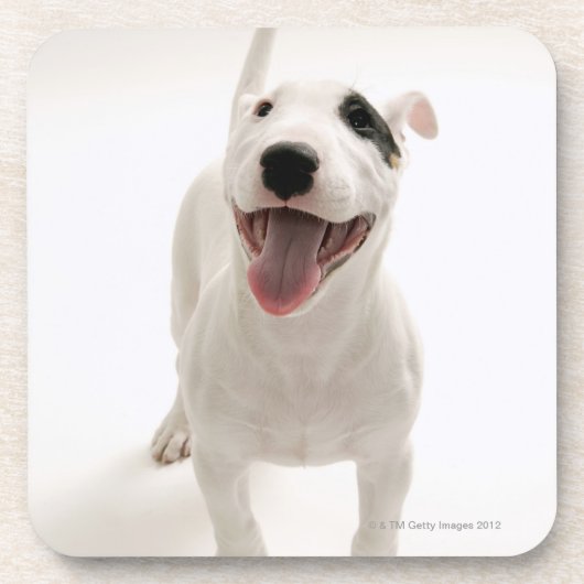 Joyful Bull doodsbang Onderzetter (Voorkant)