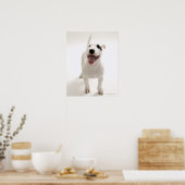 Joyful Bull doodsbang Poster (Keuken)