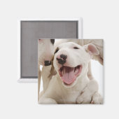 Joyful Bull-doodsbannen Magneet (Voorkant / Achterkant)