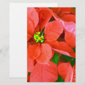 Joyful Feestdagen_ Briefpapier (Voorkant / Achterkant)
