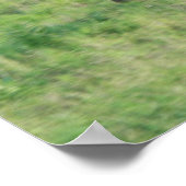 Joyful Freedom Poster (Hoek)