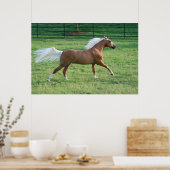 Joyful Freedom Poster (Keuken)