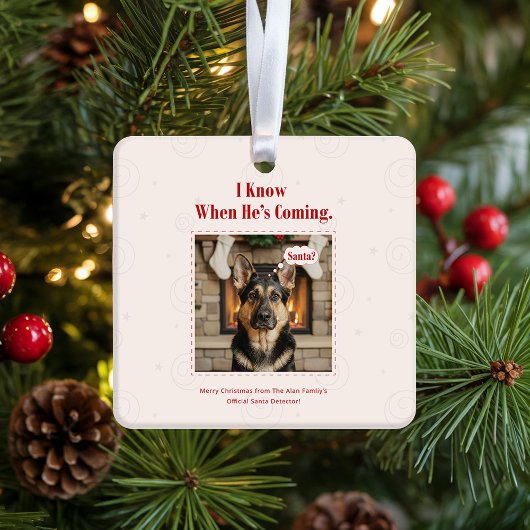 Joyful Funny Dog Pet Photo Christmas Holiday Keramisch Ornament