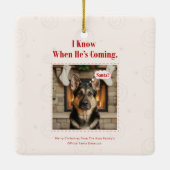 Joyful Funny Dog Pet Photo Christmas Holiday Keramisch Ornament (Achterkant)
