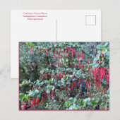 JOYFUL JANUARI! BRIEFKAART (Voorkant / Achterkant)
