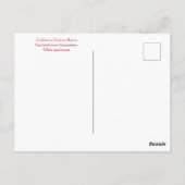 JOYFUL JANUARI! BRIEFKAART (Achterkant)