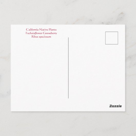 JOYFUL JANUARI! BRIEFKAART (Achterkant)