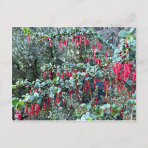 JOYFUL JANUARI! BRIEFKAART