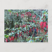 JOYFUL JANUARI! BRIEFKAART (Voorkant)