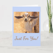 Joyful Little Goat Birthday Kaart (Voorkant)