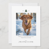 Joyful Minimalist Holiday Photo Feestdagenkaart (Achterkant)