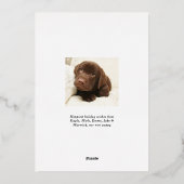 Joyful Modern Family Photo Collage Gold Folie Feestdagenkaart (Achterkant)