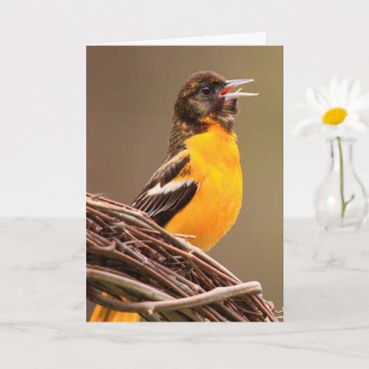 Joyful Oriole Birthday Kaart (Kleine Plant)