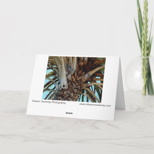 "Joyful Palm" Sluiten, top van boom met blauwe luc Kaart (Achterkant)