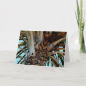"Joyful Palm" Sluiten, top van boom met blauwe luc Kaart (Voorkant)