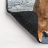 Joyful Palomino Pinto Horse and Snow Muismat (Hoek)