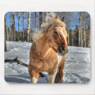 Joyful Palomino Pinto Horse and Snow Muismat