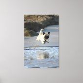 Joyful Pug Leaping by the Ocean Canvas Afdruk (Voorkant)
