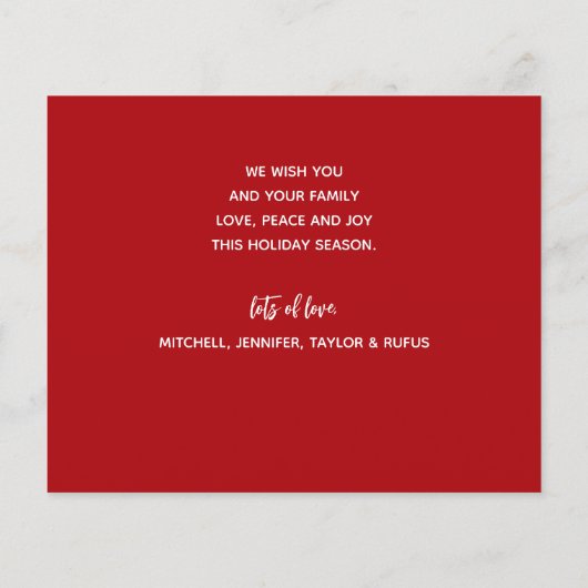 JOYFUL Red Budget Holidards (Achterkant)