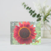 Joyful Rusty Red Sunflower Briefkaart (Staand voorkant)