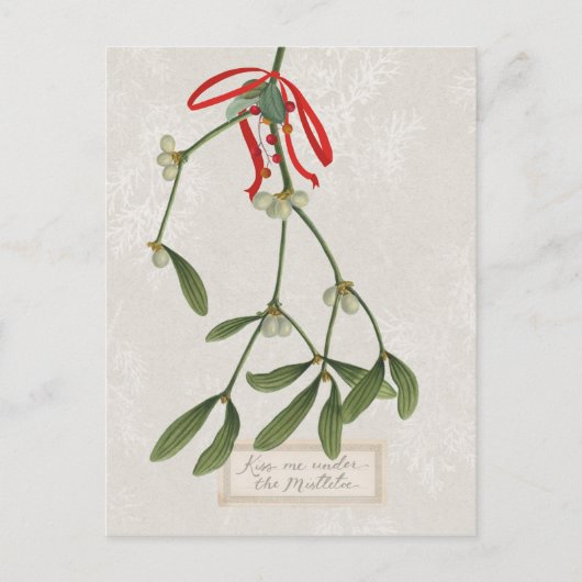 Joyful Tidings | Kus me onder de mistletoe Briefkaart (Voorkant)