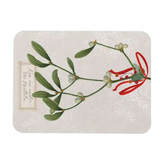 Joyful Tidings | Kus me onder de mistletoe Magneet (Horizontaal)
