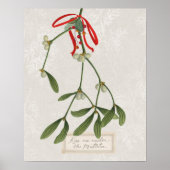 Joyful Tidings | Kus me onder de mistletoe Poster (Voorkant)