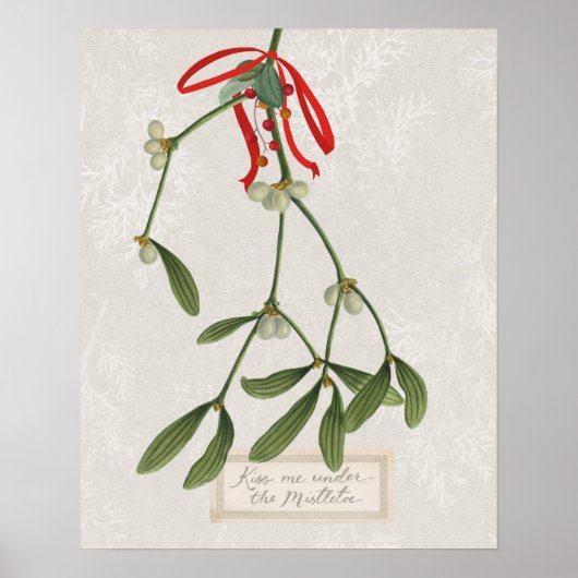 Joyful Tidings | Kus me onder de mistletoe Poster (Voorkant)