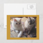Joyful vrienden briefkaart (Voorkant / Achterkant)