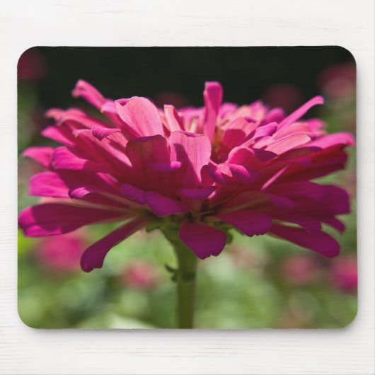 Joyful Zinnia Muismat (Voorkant)