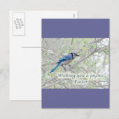 Joyous Easter Blue Jay Songbird Feestdagenkaart (Voorkant / Achterkant)