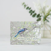 Joyous Easter Blue Jay Songbird Feestdagenkaart (Staand voorkant)