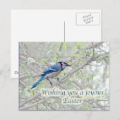 Joyous Easter Blue Jay Songbird Feestdagenkaart (Voorkant / Achterkant)