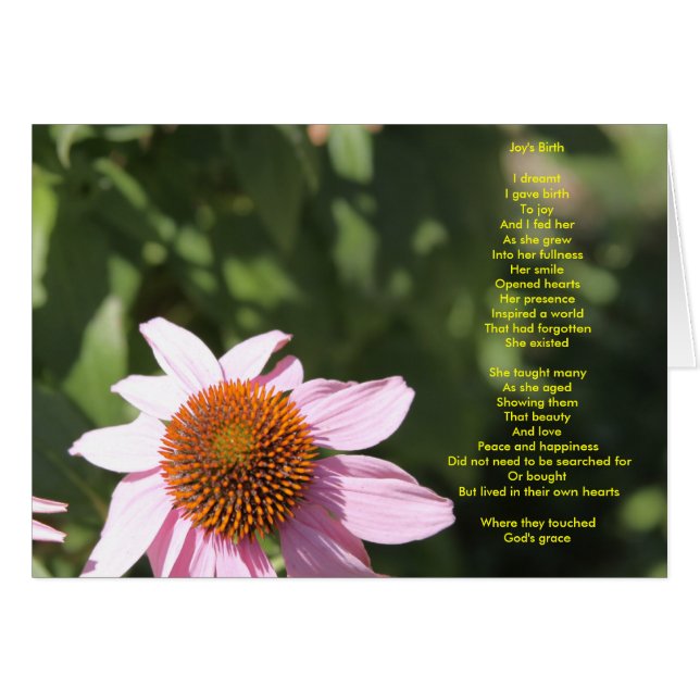 Joy's geboorte. (Voorkant Horizontaal)